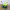 https://res.cloudinary.com/billionhands/image/upload/v1770831266/items/az7naizujcxj5ym7fprr.jpg-0cover