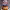 https://res.cloudinary.com/billionhands/image/upload/v1770831353/items/pnrw3ojrlcyodfrkwvry.webp-3cover