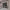 https://res.cloudinary.com/billionhands/image/upload/v1770831387/items/jxcz7dvk0pw58byjc3hf.jpg-1cover