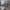 https://res.cloudinary.com/billionhands/image/upload/v1770831448/items/kvumjxch9oiaujs4iwbx.jpg-1cover