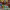 https://res.cloudinary.com/billionhands/image/upload/v1770831451/items/mc7fvxcuezlcx1ork6px.jpg-0cover