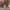 https://res.cloudinary.com/billionhands/image/upload/v1770831455/items/n4ybufxtaqy73gesmice.jpg-3cover