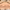 https://res.cloudinary.com/billionhands/image/upload/v1770831456/items/hf2yiroqalue4vyb74yn.png-1cover