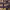 https://res.cloudinary.com/billionhands/image/upload/v1770831464/items/dh2p6r3taapoud0jmdl7.jpg-2cover