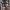 https://res.cloudinary.com/billionhands/image/upload/v1770831476/items/fvrksav8gtfuo8gr9tgk.jpg-2cover
