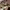 https://res.cloudinary.com/billionhands/image/upload/v1770831479/items/vc67rpta6jeqvsgtzghw.webp-3cover
