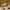 https://res.cloudinary.com/billionhands/image/upload/v1770831489/items/ppscmzgq8rxelfu94dll.jpg-2cover