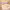 https://res.cloudinary.com/billionhands/image/upload/v1770831533/items/ttvehvgtqsqukzt0kjby.jpg-0cover