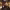 https://res.cloudinary.com/billionhands/image/upload/v1770831541/items/hzxiiaei4getvmvxthfa.jpg-3cover