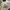 https://res.cloudinary.com/billionhands/image/upload/v1770831571/items/vnzrneuxxmgtw7uo81h5.jpg-2cover