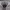 https://res.cloudinary.com/billionhands/image/upload/v1770831572/items/uyjbca2a0xrzko2ixkmg.jpg-0cover