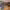 https://res.cloudinary.com/billionhands/image/upload/v1770831576/items/gupkqvive7gyyhht0pbw.jpg-2cover