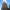 https://res.cloudinary.com/billionhands/image/upload/v1770831581/items/zxkzdxvz2lzjpn3lab6v.jpg-0cover