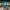 https://res.cloudinary.com/billionhands/image/upload/v1770831590/items/dwraz0m8l62hzycrpj3c.jpg-3cover
