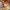 https://res.cloudinary.com/billionhands/image/upload/v1770831704/items/kkc7fg7c3gsqsfmmtdhy.jpg-2cover