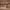 https://res.cloudinary.com/billionhands/image/upload/v1770831761/items/a9qrwppel5sgaglkem50.jpg-1cover