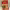 https://res.cloudinary.com/billionhands/image/upload/v1770831825/items/oucshm3ks6odwllfxabq.jpg-2cover
