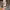 https://res.cloudinary.com/billionhands/image/upload/v1770831826/items/xqzrexgkaryqsvia4l6b.jpg-2cover