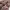 https://res.cloudinary.com/billionhands/image/upload/v1770831830/items/hovjeltgkzm6lnnybuvk.jpg-0cover
