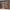 https://res.cloudinary.com/billionhands/image/upload/v1770831831/items/lblutaorkp6z7usgpoti.jpg-0cover