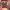 https://res.cloudinary.com/billionhands/image/upload/v1770831859/items/hxnprivyoqr36tudrea3.jpg-1cover