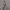 https://res.cloudinary.com/billionhands/image/upload/v1770831880/items/grhmc1ezpp8dyk7pgpkm.jpg-1cover
