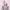 https://res.cloudinary.com/billionhands/image/upload/v1770831910/items/tvtpv0pmym0k5m6zgewy.jpg-1cover