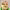 https://res.cloudinary.com/billionhands/image/upload/v1770831915/items/p1ow715jepki5vt01uft.jpg-3cover