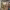 https://res.cloudinary.com/billionhands/image/upload/v1770832036/items/nv4by7o9zjsvqhgjbpsr.jpg-0cover