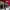 https://res.cloudinary.com/billionhands/image/upload/v1770832061/items/rnyjpmckpfej4jdkecqw.jpg-3cover