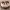 https://res.cloudinary.com/billionhands/image/upload/v1770832079/items/g61og3yugwhsozyeuum8.jpg-1cover