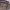 https://res.cloudinary.com/billionhands/image/upload/v1770832083/items/bnv2kgphvy2vxuw5bdgw.jpg-0cover