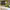 https://res.cloudinary.com/billionhands/image/upload/v1770832102/items/ayip3yosprflwczjwsus.png-3cover