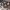 https://res.cloudinary.com/billionhands/image/upload/v1770832105/items/khk3vndv7zhx4oufh5a7.jpg-2cover
