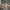 https://res.cloudinary.com/billionhands/image/upload/v1770832160/items/l1tcnepljdp44cs0pf4i.webp-0cover