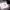 https://res.cloudinary.com/billionhands/image/upload/v1770832200/items/olzzluztooc6fu9hytq9.webp-2cover