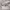 https://res.cloudinary.com/billionhands/image/upload/v1770832201/items/rbmxviqaretrotysiacr.jpg-0cover