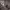 https://res.cloudinary.com/billionhands/image/upload/v1770832202/items/v2be8m0vjiazuju2wv0k.jpg-1cover
