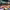 https://res.cloudinary.com/billionhands/image/upload/v1770832202/items/xfvpzyxogwxf01u3nfds.webp-3cover
