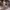 https://res.cloudinary.com/billionhands/image/upload/v1770832203/items/cxcjm0yvrkq5pclkd4mi.png-1cover