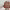 https://res.cloudinary.com/billionhands/image/upload/v1770832209/items/ubmmtg2uqznayhuvnwbv.jpg-3cover