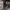 https://res.cloudinary.com/billionhands/image/upload/v1770832213/items/lad9ckxl2rblm9gymfd0.jpg-0cover