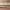 https://res.cloudinary.com/billionhands/image/upload/v1770832213/items/pbealcosba4ut4xcnaso.jpg-1cover