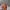 https://res.cloudinary.com/billionhands/image/upload/v1770832217/items/dqipiimm3dcbmzdginvo.jpg-1cover