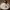 https://res.cloudinary.com/billionhands/image/upload/v1770832221/items/y5vnna7hpcg3zvwx9ros.jpg-2cover