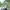 https://res.cloudinary.com/billionhands/image/upload/v1770832222/items/nk48yr9cbkjbyna6t80g.jpg-1cover