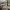 https://res.cloudinary.com/billionhands/image/upload/v1770832229/items/dalr731t9fsdpwyvaplw.jpg-3cover