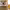https://res.cloudinary.com/billionhands/image/upload/v1770832229/items/h0frbo4iffki3ur58h61.png-0cover