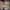https://res.cloudinary.com/billionhands/image/upload/v1770832240/items/v5xfohterbmvkqflbfe2.jpg-0cover