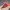 https://res.cloudinary.com/billionhands/image/upload/v1770832305/items/nqsh9vkc4jznohyshyrj.avif-1cover